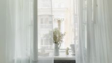 Open window with plant vase on a sunny day
