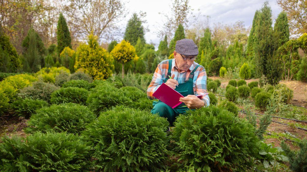 An older man looking at shrubs writes in a notebook