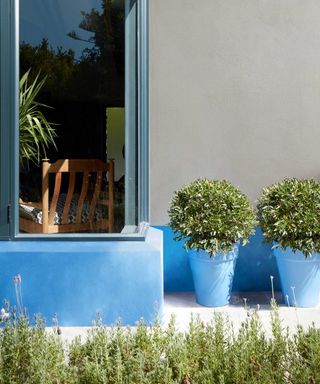 pots and edging of house painted with Little Greene 'Tivoli'