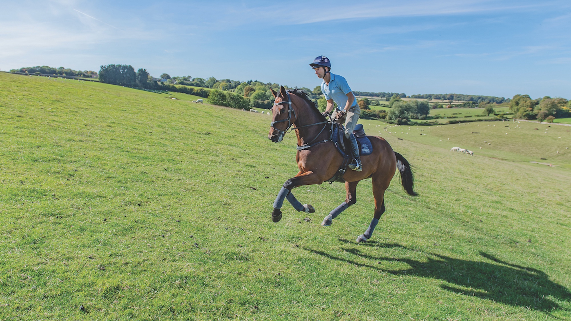 Harry Meade cantering uphill