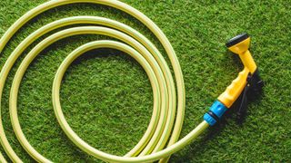 A drained garden hose lying on the grass