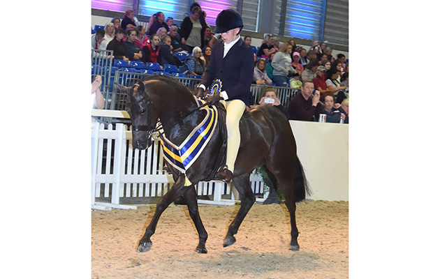 Equifest 2018