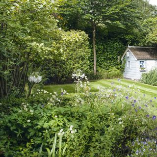 Garden with lawn surrounded by hedges, trees and flowerbed