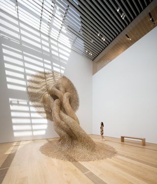 Large root like sculpture at museum
