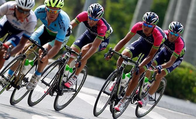 Lampre-Merida protects stage 2 winner Niccolo Bonifazio