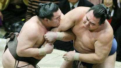 Sumo wrestling is Japan's national sport