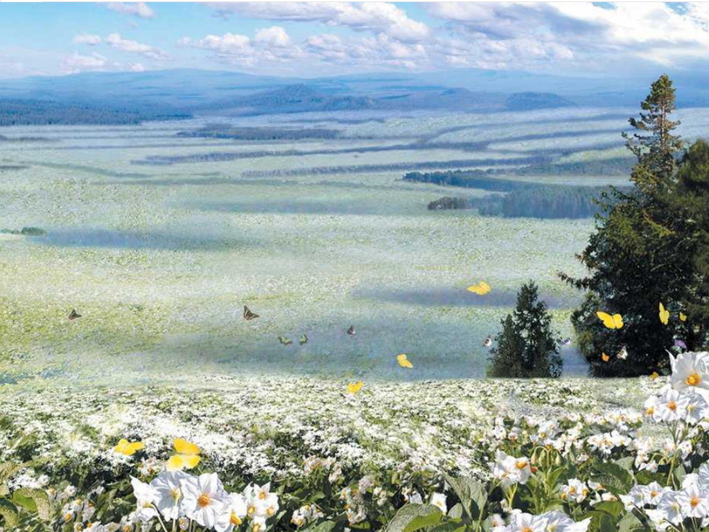 A screensaver from Red Star OS, showing a pastoral field.