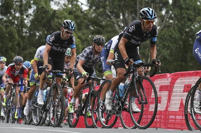 Porte in the bunch.