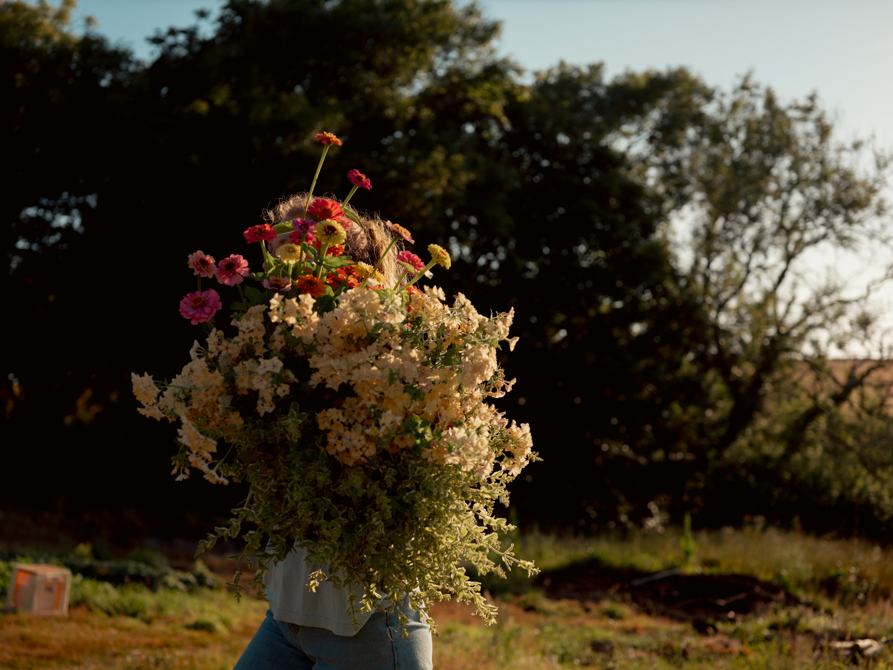 Petalon flower farm