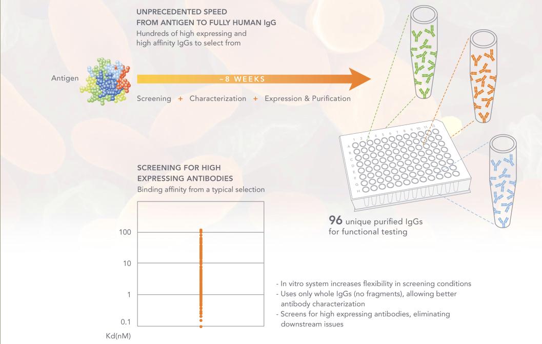 Adimab