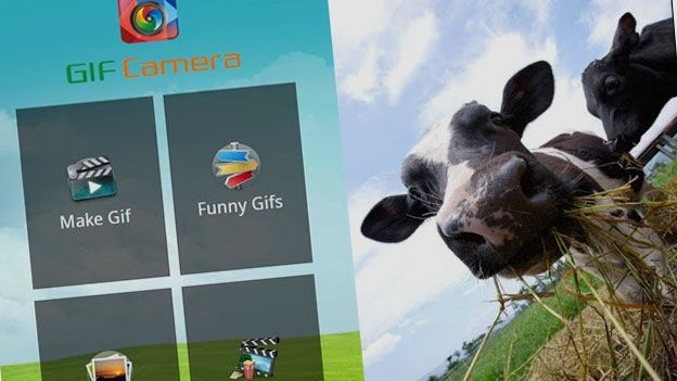 Gif Camera