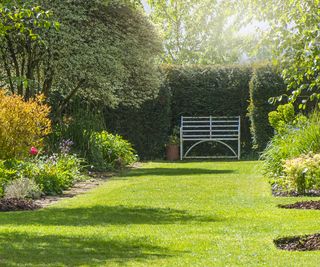 Neat lawn, mown lawn, lush lawn