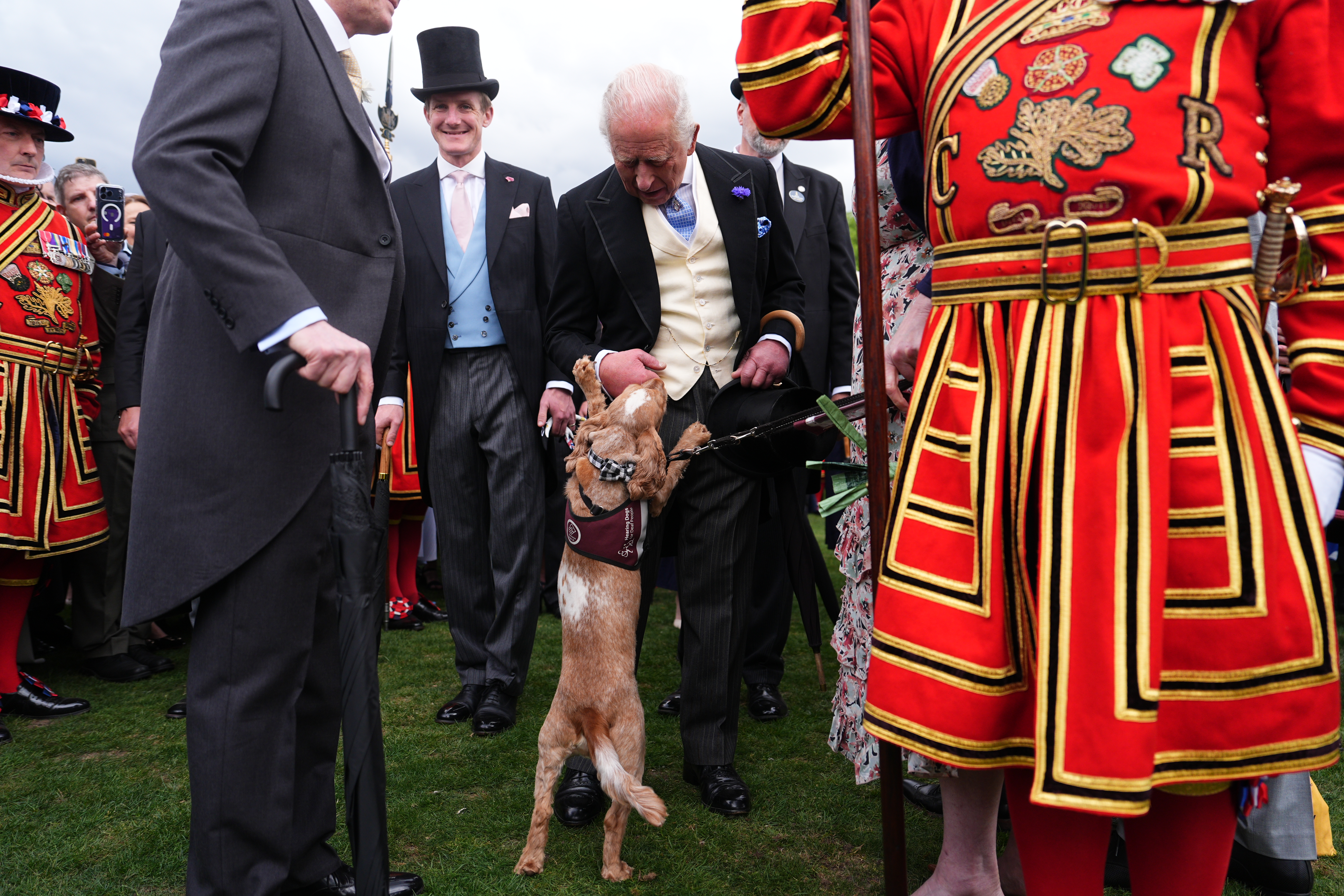 King Charles petting a dog jumping on his legs at a garden party