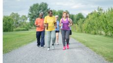 a group of senior people walking in a park