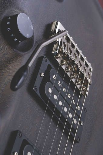 The vibrato also enhances acoustic resonance