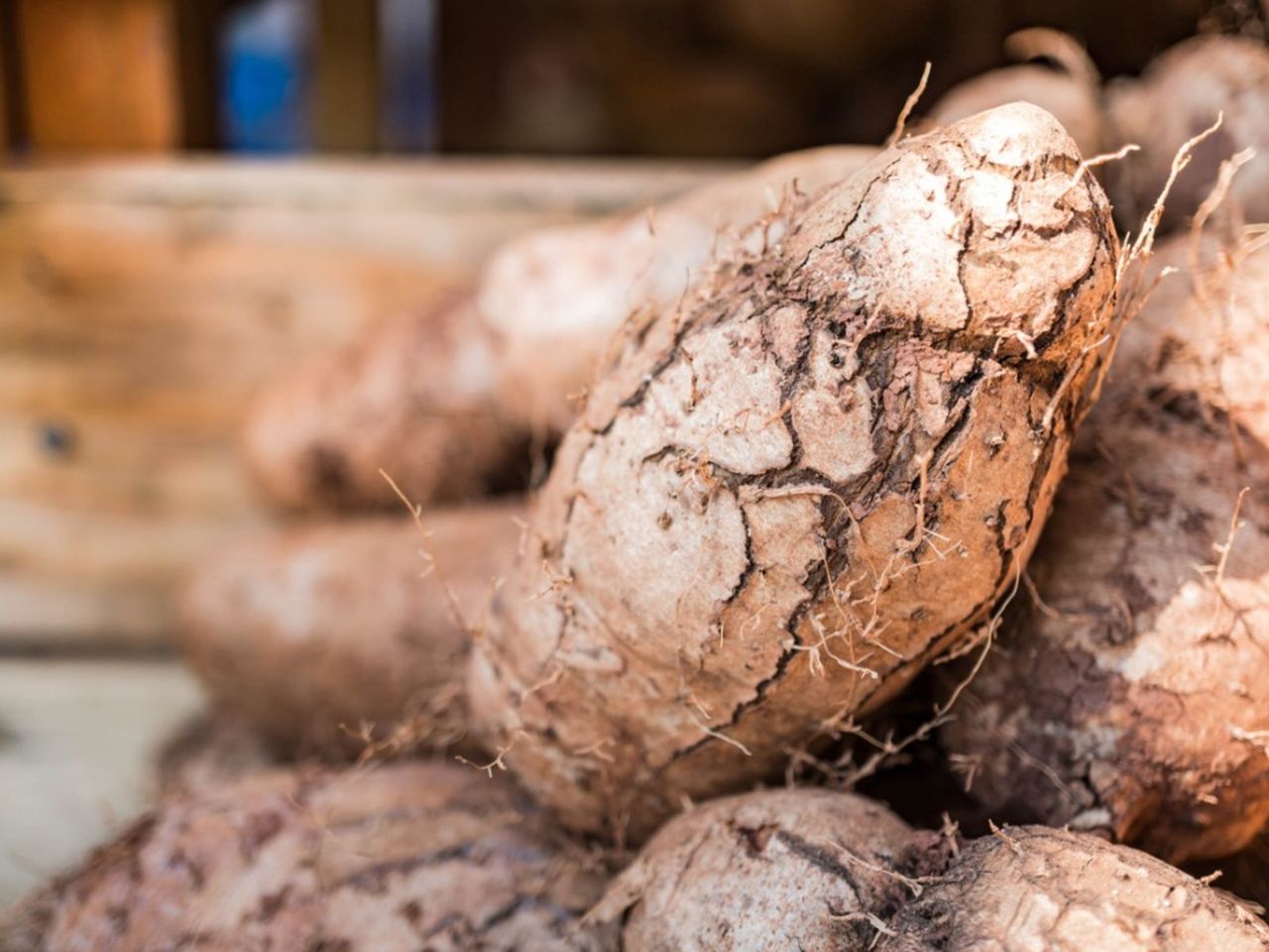 Uprooted Chinese Yams