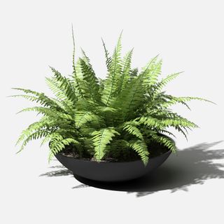 Black plastic planter