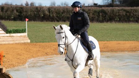 Tom McEwen riding Brookfield Benjamin Bounce in a cross-country schooling session