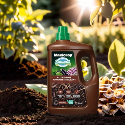 Maxicrop All Purpose Plant Growth Stimulant, 2.5l - Natural Seaweed Based Liquid Biostimulant - Multivitamin Boost for All Garden Plants - Strong Roots - Healthy Growth - Builds Resilient Crops