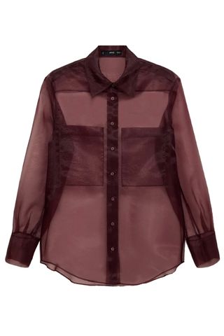 Sheer Organza Button-Up Shirt