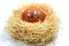 Egg in nest depicting IRA savings, silver lettering on brown egg against a white background.