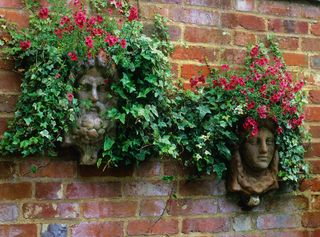 wall containers with trailing flowering plants
