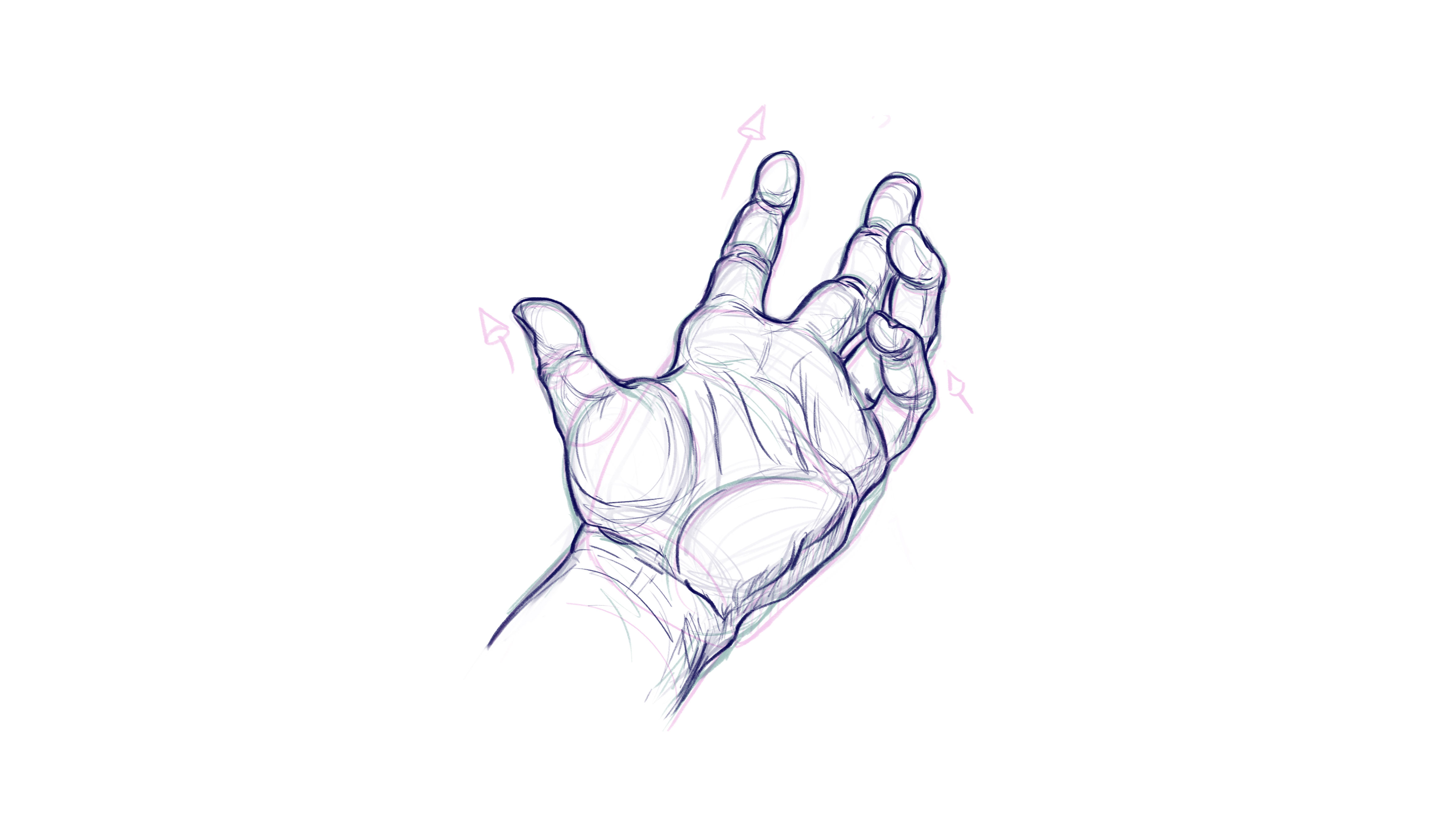 How to draw hands: a more detailed sketch of the hand