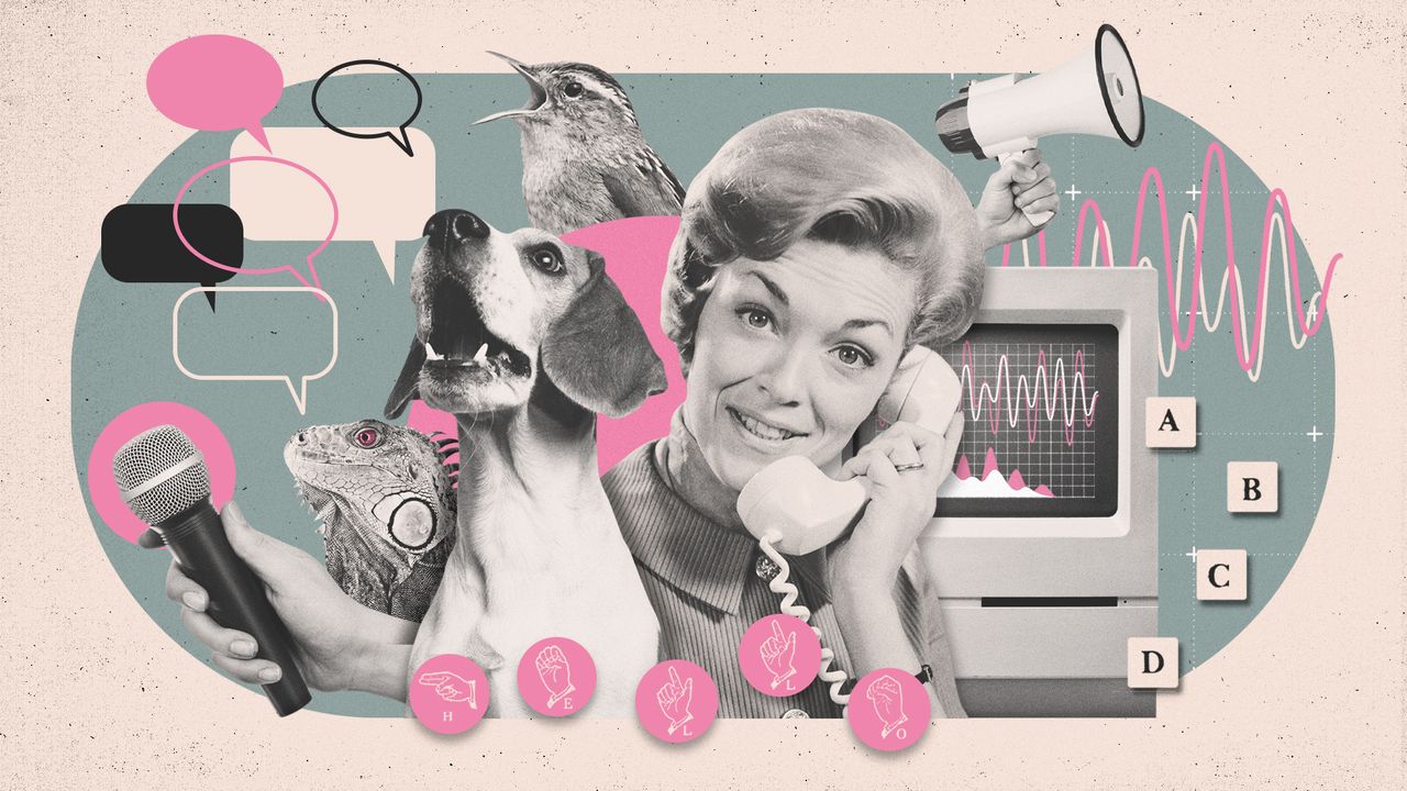 Photo compiste of a woman on the telephone talking to various animals