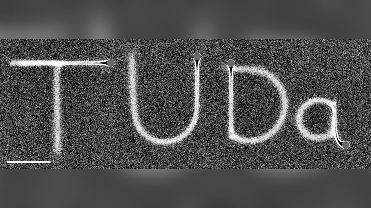 Initials of the Technical University of Darmstadt written in a BD simulation with vIEX = 12 &micro;m s&minus;1.