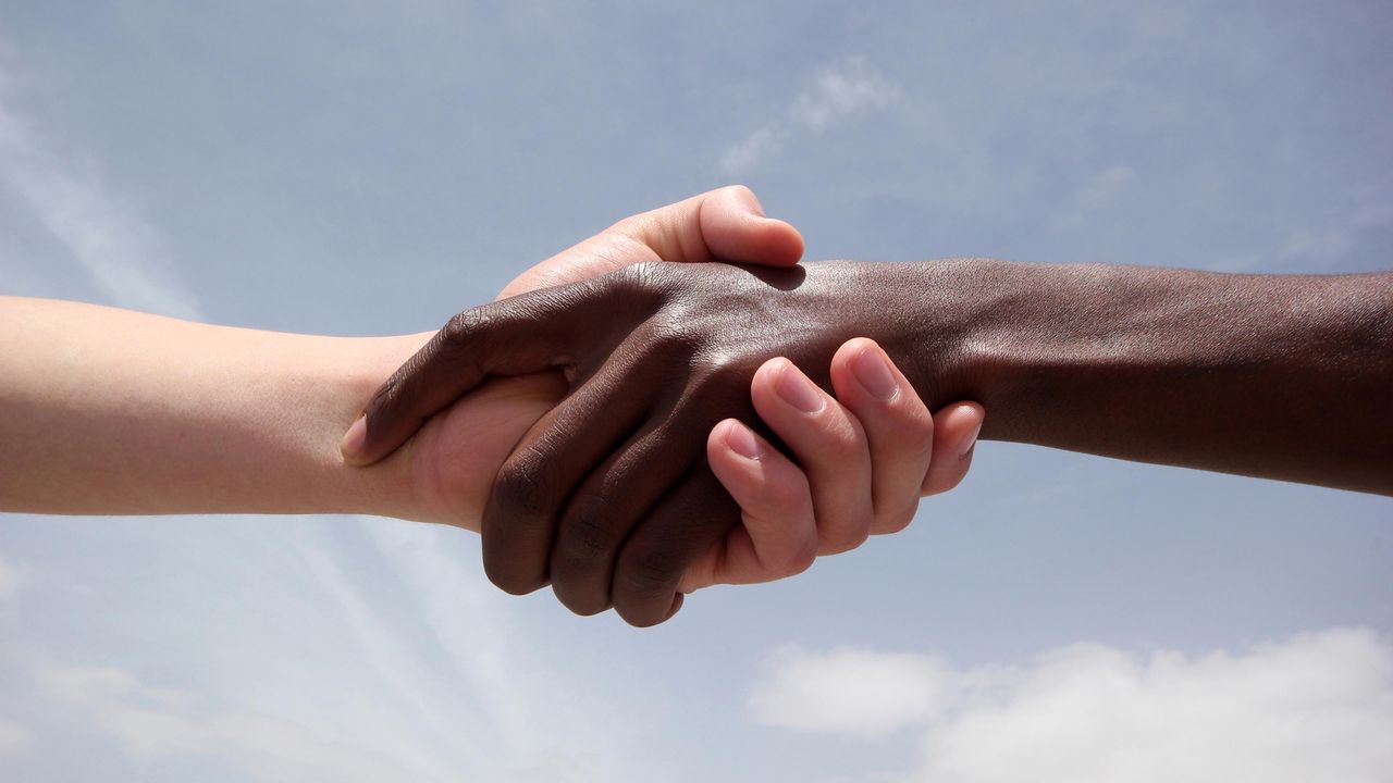 A pair of hands (one white and one Black) clasp in a handshake.