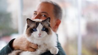 Man hugging ragdoll cat