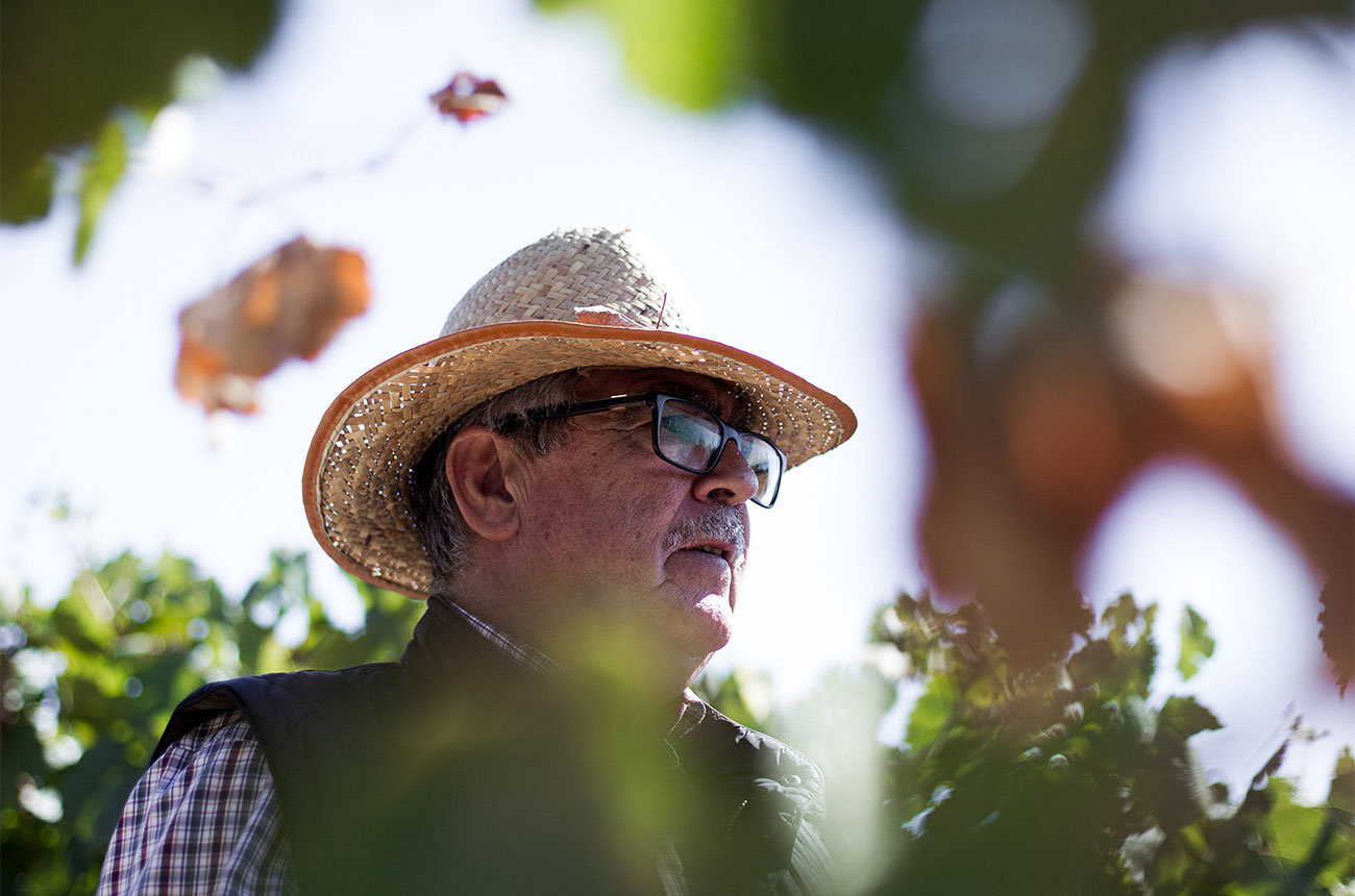 Pago de Tharsys, Vicente Garc&amp;iacute;a