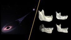 Science news this week Jan 10.