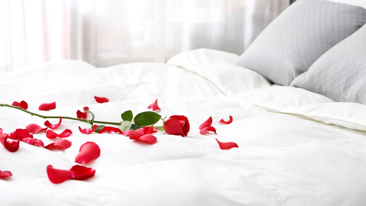 A bed made up with white bedding with a bright red rose resting on the surface with its petals strewn across the bed