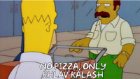   The City of New York vs. Homer Simpson (Season 9)