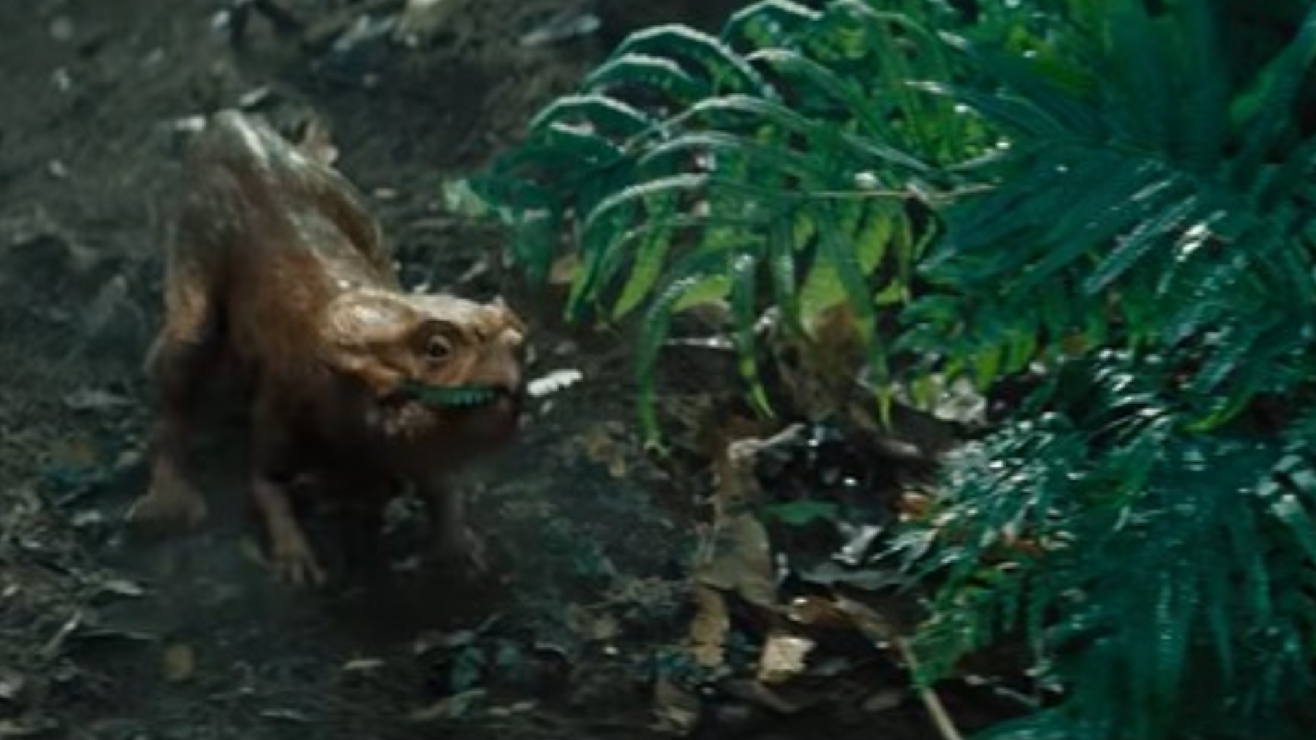 Dolores the Aquilops in Jurassic World Rebirth