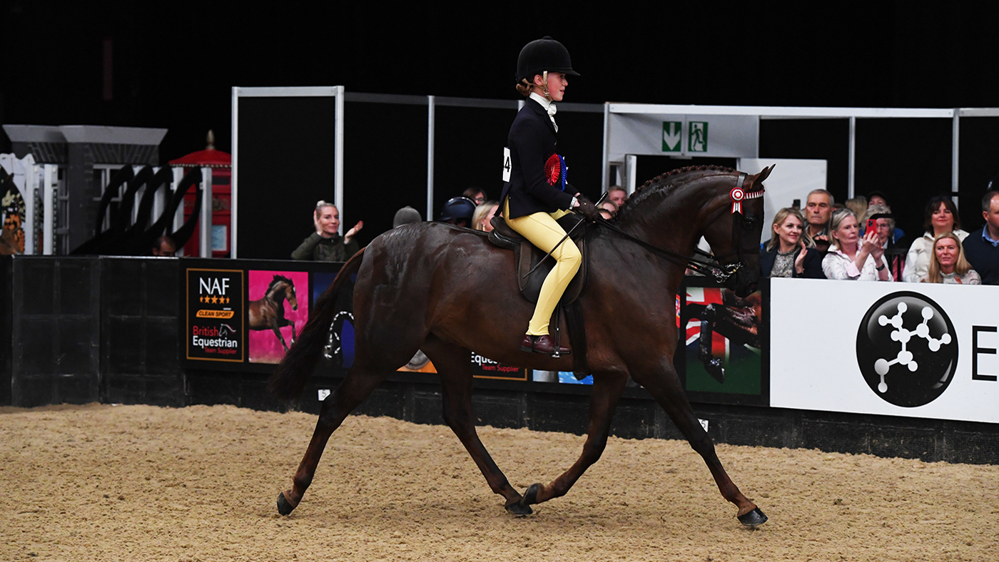 Copybush Time Lord and Harriett Storey win the 138cm show pony of the year title at HOYS 2022