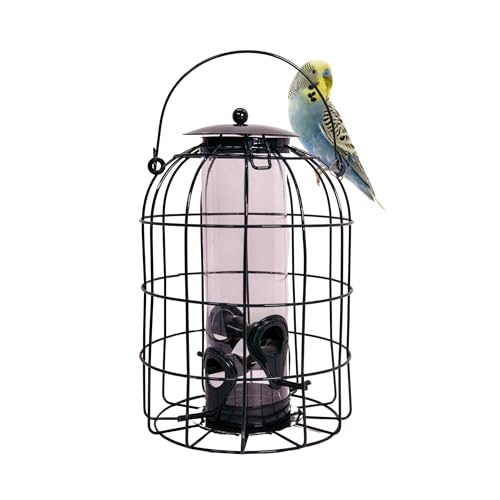 Samuel Alexander Pack of 2 Nature's Market Wild Bird Seed Feeder Cage With Squirrel Proof Guard