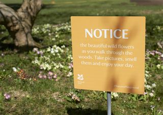 The National Trust branding