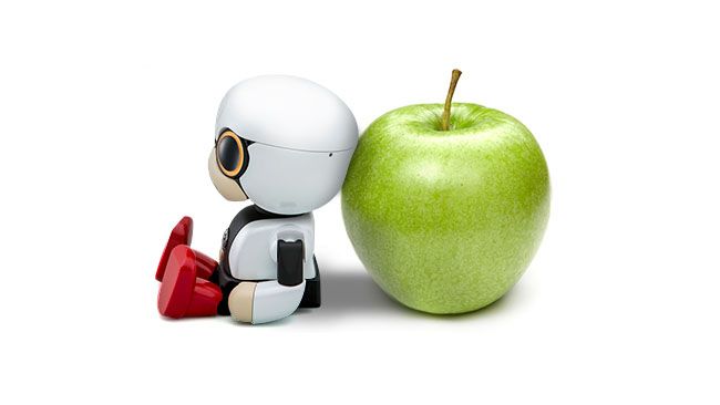 kirobo robot price