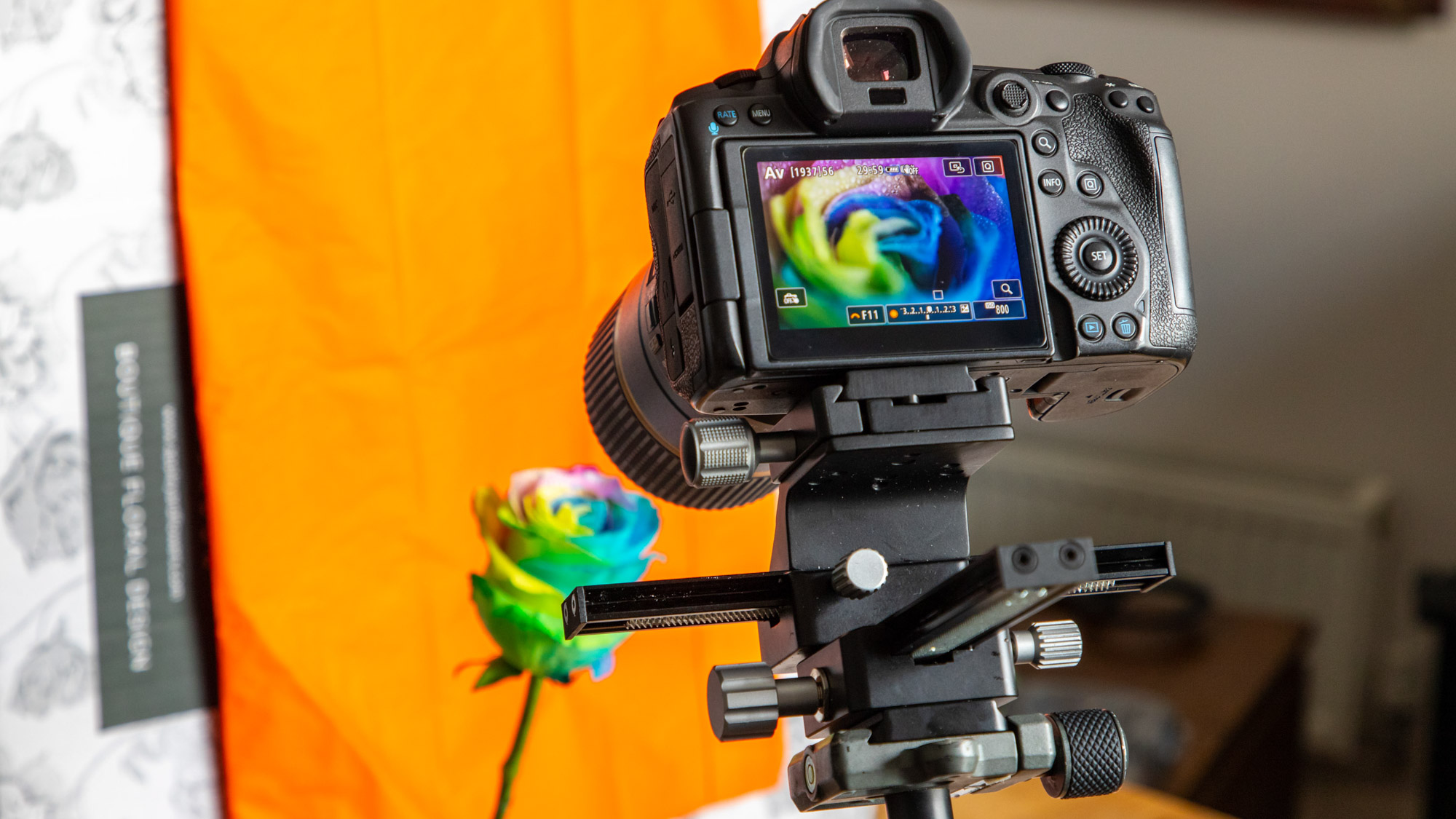 A camera with a macro lens set up on a focus slider rail attached to a tripod pointing at a rainbow colored rose in front of an orange background