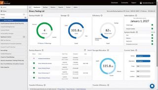 Desktop screenshot of the cloud portal utilized by the Barracuda Backup 290