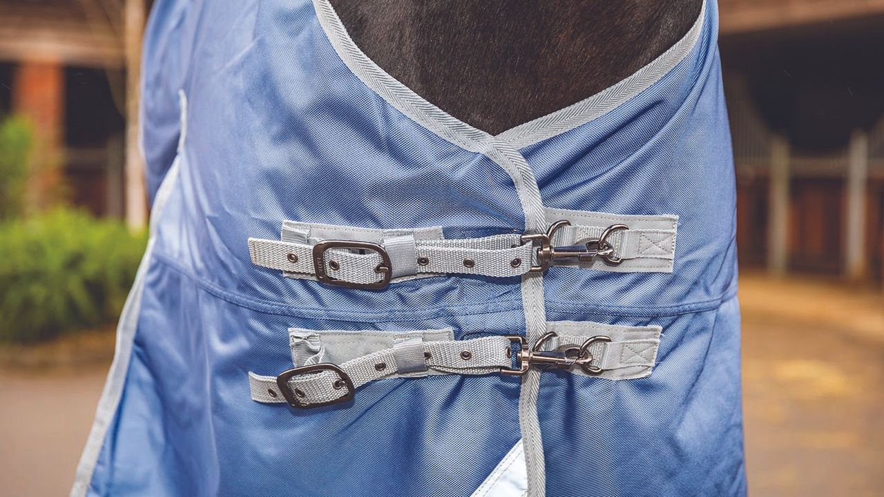 Derby House Elite detach-a-neck turnout review