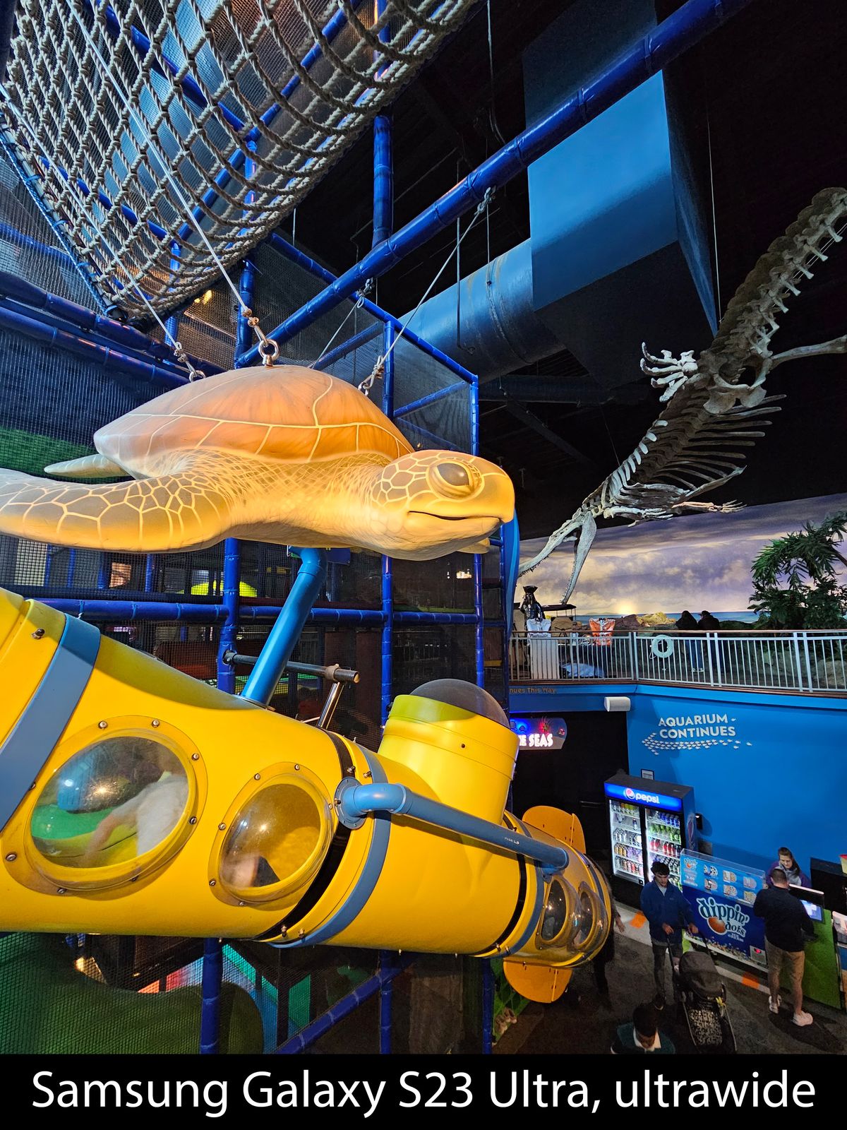 Camera samples from the Samsung Galaxy S23 Ultra's ultrawide camera