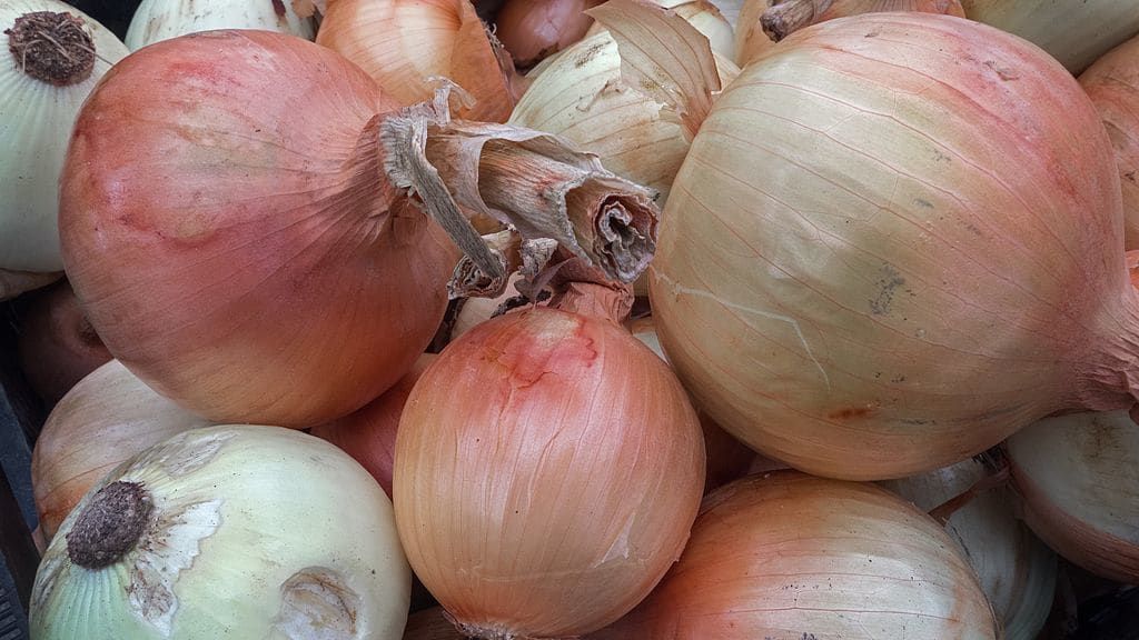 Sweet onions.