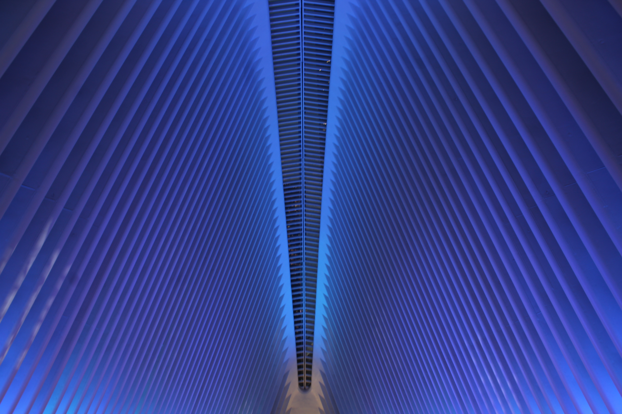 GuruShots - Captivating Architecture August 2025