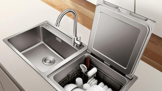 FOTILE 2-in-1 In-Sink Dishwasher