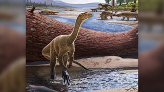 Mbiresaurus raathi in shallow water with other Triassic animals nearby