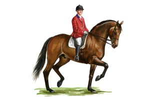 Native horse breeds of Britain