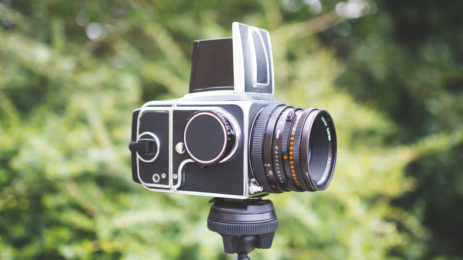 Trust me, a medium-format film camera will make you a better photographer